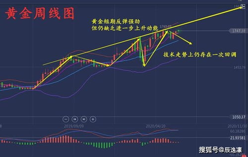 春节效应提前布局！（期货交易直播间）历史数据揭示A股消费与黄金走势规律