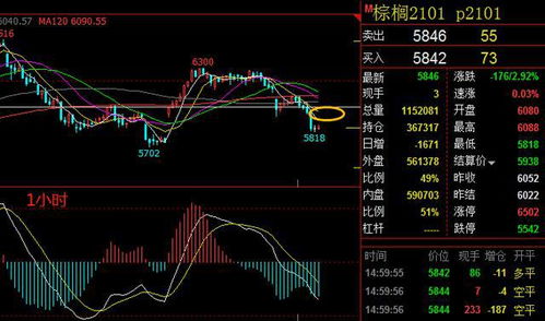 纳指期货直播室动能回升，深证指数基金恒指迎来共振，把握全球资本市场的脉搏！