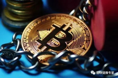 众人贪婪时我更贪婪：期货直播间里，拨开趋势与泡沫的迷雾