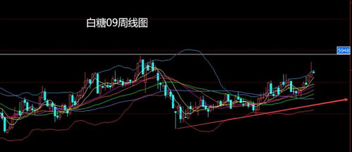 我为什么开始做空黄金（期货交易直播间）——在喧嚣中寻找逆行的勇气