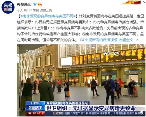 DAX 40 Quartalszahlen: Gewinner und Verl