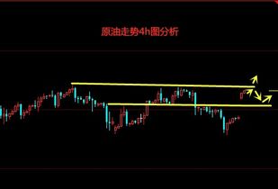 如果战争明天爆发：黄金、原油、外汇的终极避险方案（期货交易直播间）