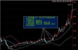 小圈子密训外泄：期货交易直播间“黄金三角战法”稳定盈利的秘密