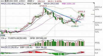 黄金节日消费旺季：期货交易直播间珠宝股与黄金期货联动分析