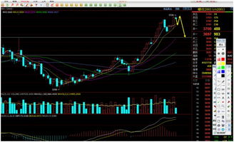 看不懂K线怎么办？（期货交易直播间）一根均线搞定A股期货的秘诀