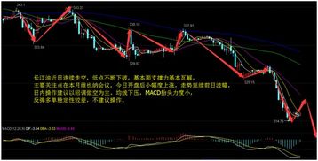 原油行情直击直播室：数据公布后的即时策略