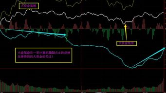 德指直播室主力逼空：A股基金如何乘风破浪，掘金投资新机遇？