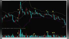 纳指期货直播室盘中狙击：基金量化模型深度解析，助您解锁交易新篇章