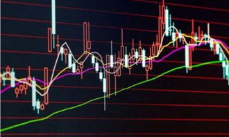 恒指直播间盘中带单：基金调仓信号公开，把握期货交易新机遇