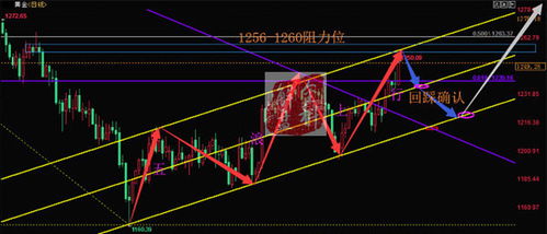 黄金回踩观察直播间：多头续力判断