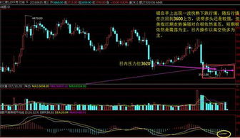 黄金冲击新高再战：期货交易直播间揭秘基金布局的绝佳时机与策略