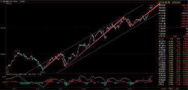 纳指异动追踪直播室：盘中快速变化分析