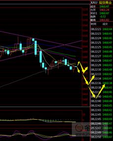 黄金加速行情，期货直播间带你把握“黄金时代”的投资密码！
