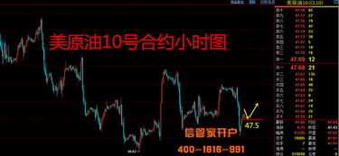 原油底部试探（期货交易直播间）：基金减仓还是加仓？洞悉市场脉搏，决胜投资未来！