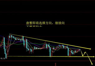 原油回踩抄底机会（期货交易直播间）资金波动解析