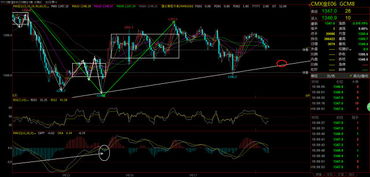 恒指触及关键压力位：期货交易直播间揭秘基金布局的结构性机遇