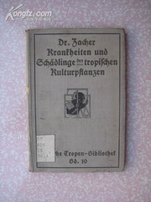 DAX 40: Die wichtigsten technischen Sign