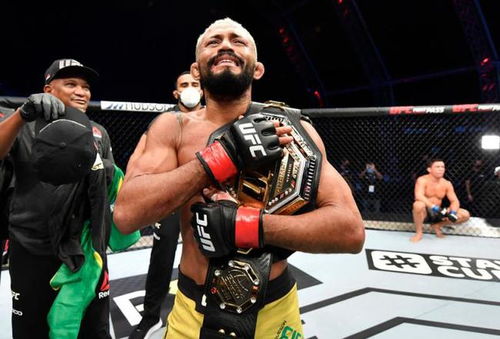 UFC格斗策略分析：地面控制与站立对抗