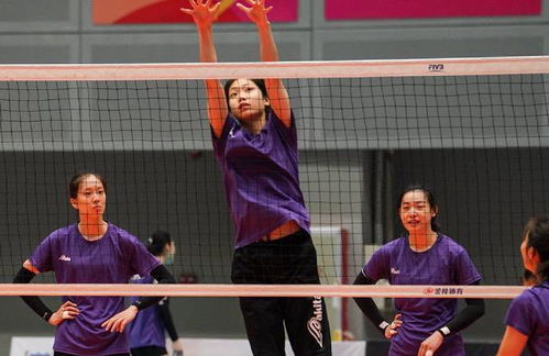 格斗选手饮食管理与备赛营养搭配