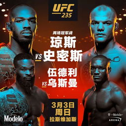 UFC新秀选手崛起榜单与未来潜力评价