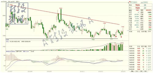 国际期货直播室（期货交易直播间）多空同步与行情博弈策略，期货直播室-国际期货直播间