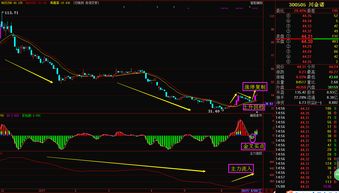 德指机械制造（期货交易直播间）形态背离与反弹点，德指期货dax行情