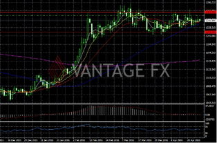 原油期货直播室：库存数据公布前的精准布局技巧揭秘