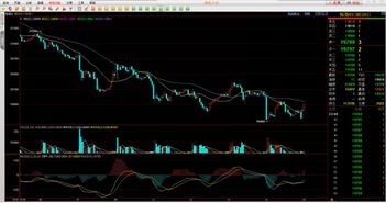 今日期货直播全解析——黄金、恒指、纳指、原油全景洞察，助你投资无忧