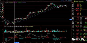 市场迷雾：深证量能萎缩与恒指回调的联动效应分析