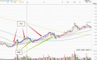 黄金主力建仓：驾驭避险浪潮，洞悉A股结构