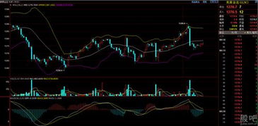 黄金高位震荡，A股深证指数与基金共振：掘