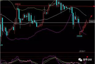 恒指触底反弹的秘密：深证资金与基金共振的财富密码