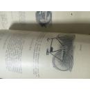 Dividendenstarke deutsche Aktien für lan