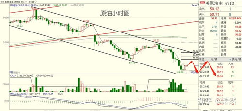 基金集中入场：恒指、纳指、黄金、原油同步反弹，把握财富新机遇！