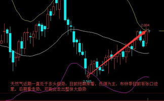 基金加速布局：把握纳指、恒指、黄金、原油多市场交易直播间机遇