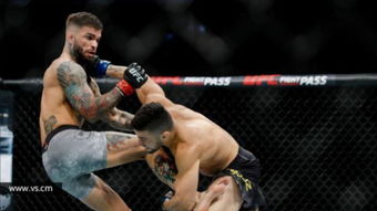 UFC历史最残酷KO合集与背后故事