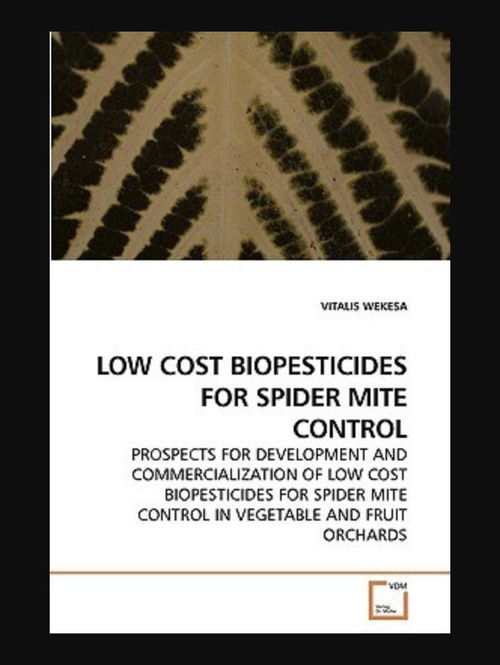 Low-Cost ETFs: Die günstigsten Fonds am 