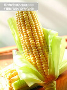 玉米强势反弹，农产品结构变化明显，玉米消费结构变化