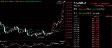 黄金长期看涨逻辑【期货交易直播间】当下如何分批建仓