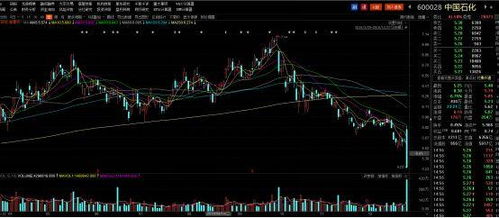 国际期货“黑天鹅”预警：你的持仓如何度过至暗时刻？