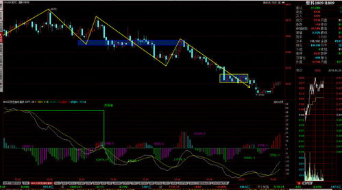 （期货交易直播间）揭秘：深证指数为何强于上证？答案在板块。