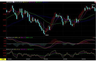 原油期货直播（期货交易直播间）美国大选年，能源政策变数对油价的潜在冲击