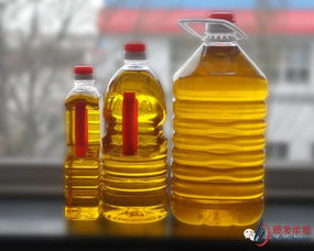 农产品板块悄然爆发，豆油领涨逻辑，农产品与豆油,菜油关联股票