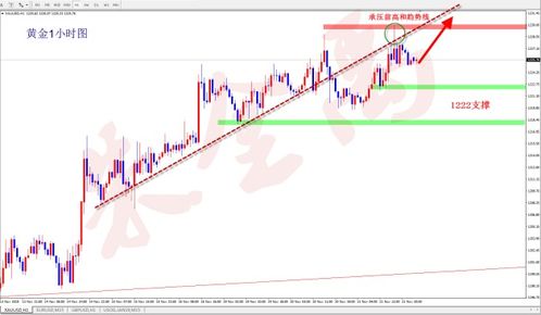 黄金回踩支撑，直播室实时布局参考，黄金直播间