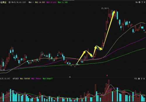 豆油主升行情走完了吗？多空力量对比，豆油主力是什么意思