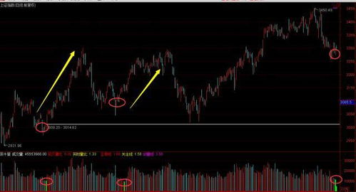棉花需求回暖，盘面出现罕见信号，棉花受外盘影响大吗