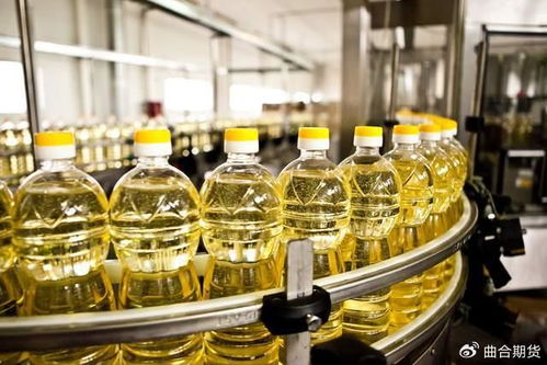 豆油与棕榈油行情共振，交易窗口是否打开？，棕榈油比豆油便宜多少