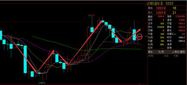 （期货交易直播间）直播画图：手把手教你绘制恒指、原油、黄金的关键趋势线