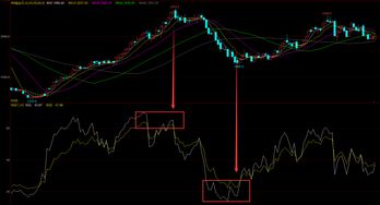 （期货交易直播间）恒指“技术指标背离”大全：MACD、RSI、KDJ的顶底信号甄别