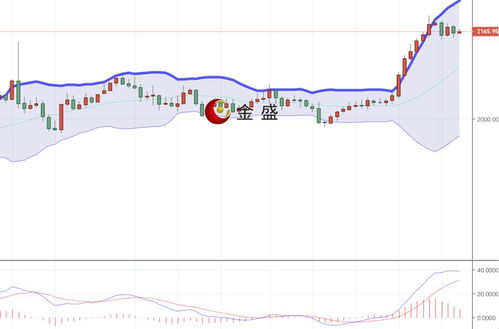 美指高位震荡，黄金能否迎来反弹行情？，美指走势影响黄金